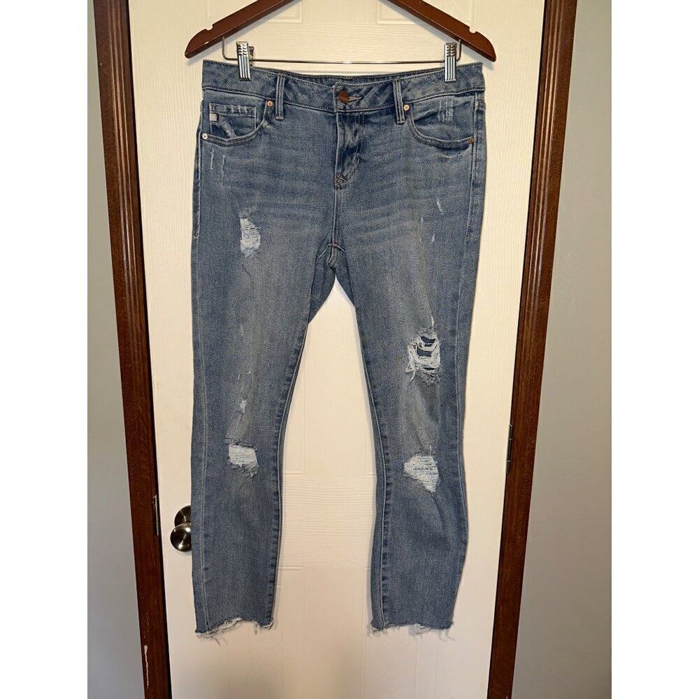 Anthropologie Dear John Joyrich Comfort Distressed Skinny‎ Jeans  Size 29